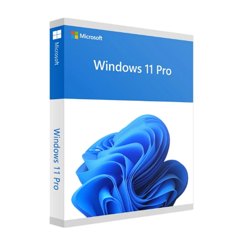 Microsoft Windows 11 Pro